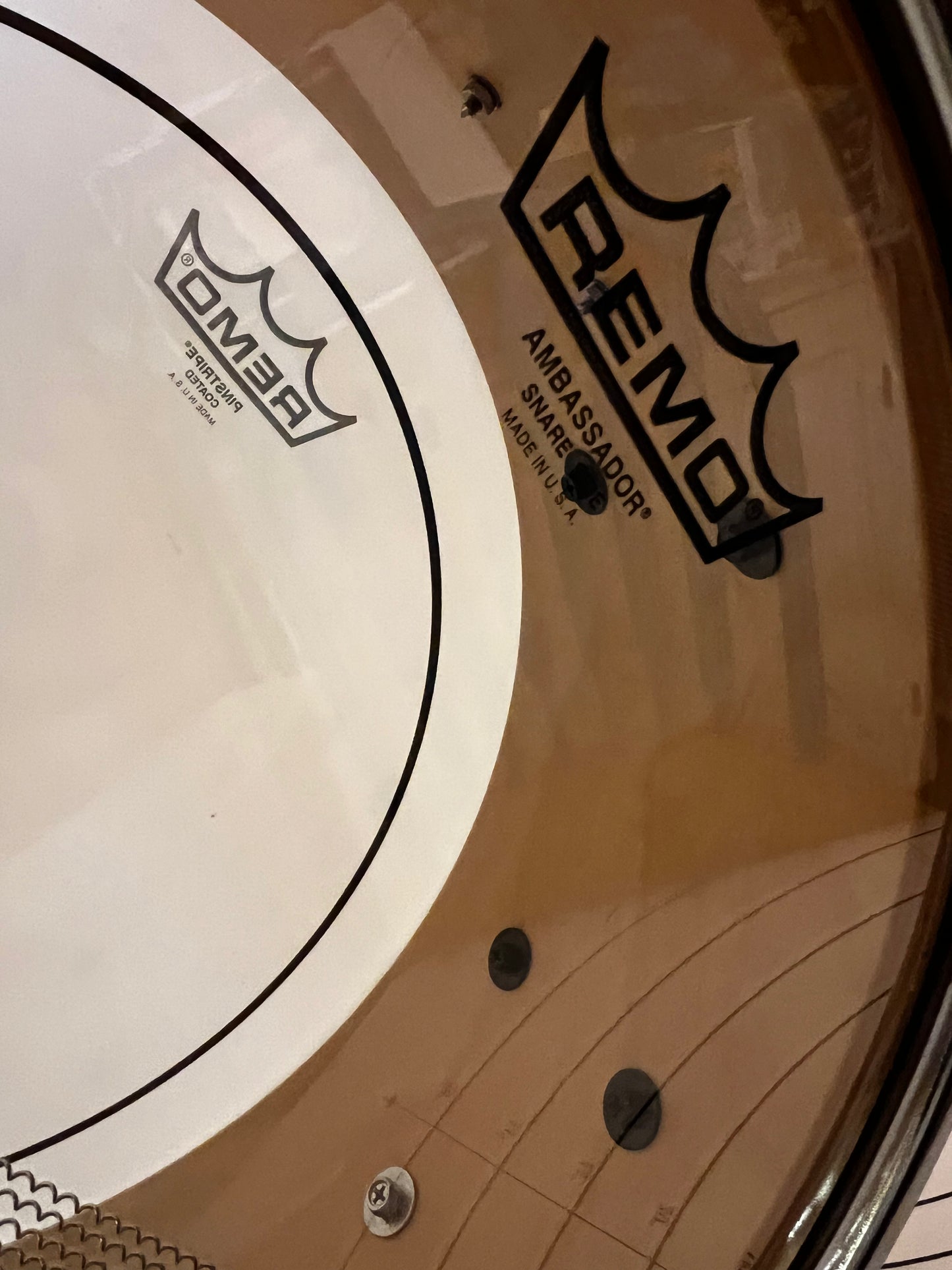 All Birch 6-ply 14x5.5 Snare Drum